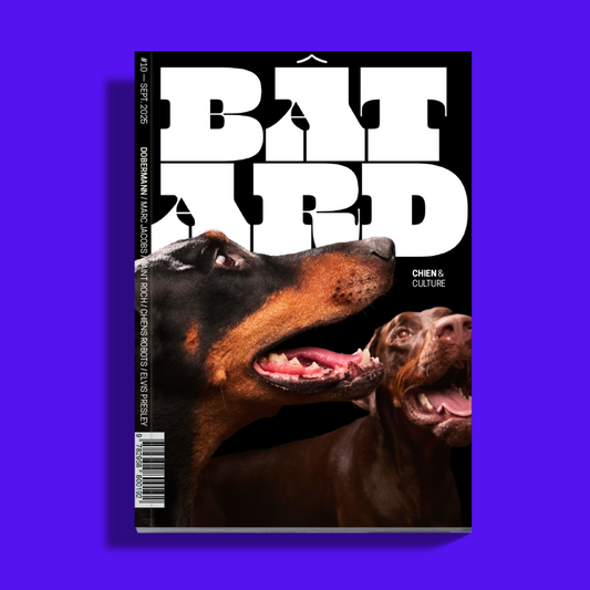 Magazine Bâtard #10