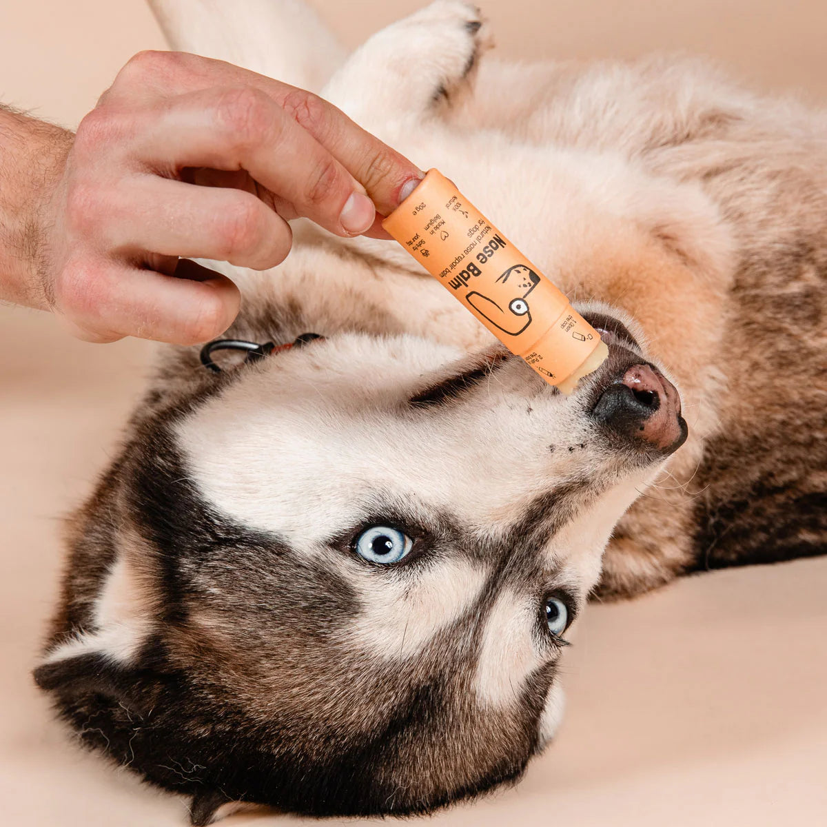 Baume pour la truffe en stick 'Nose Balm'