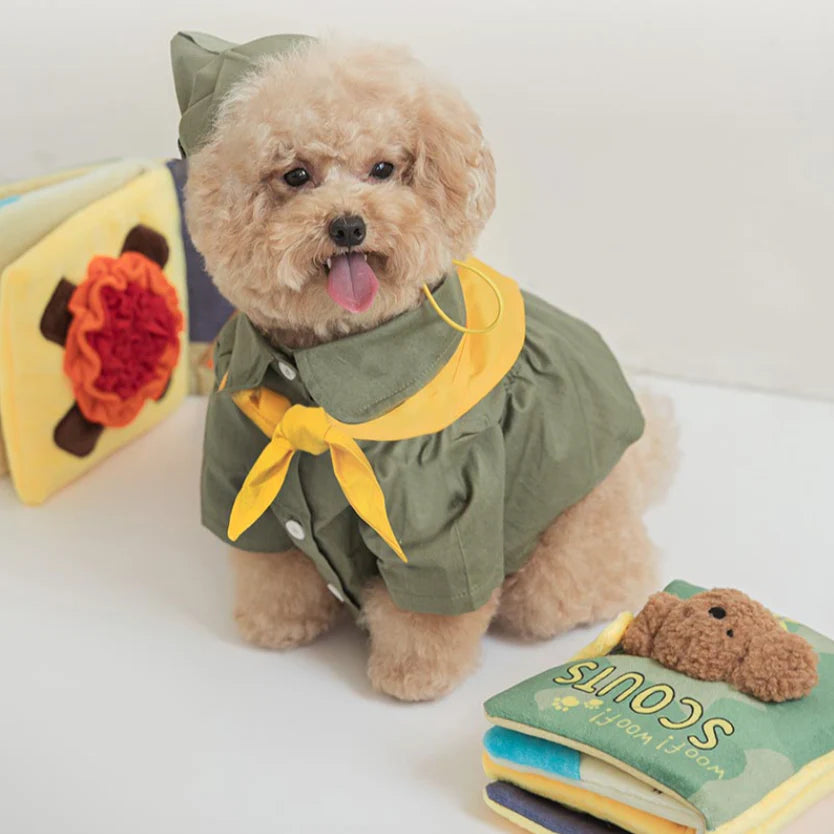 Livre de fouille Scouts