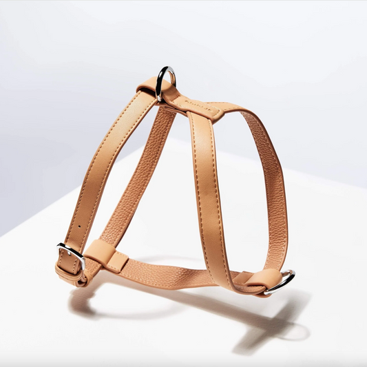 Harnais en cuir vegan