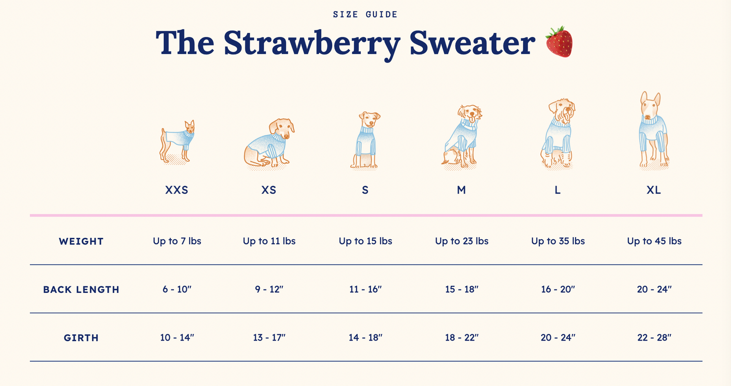 Pull The Strawberry Sweater