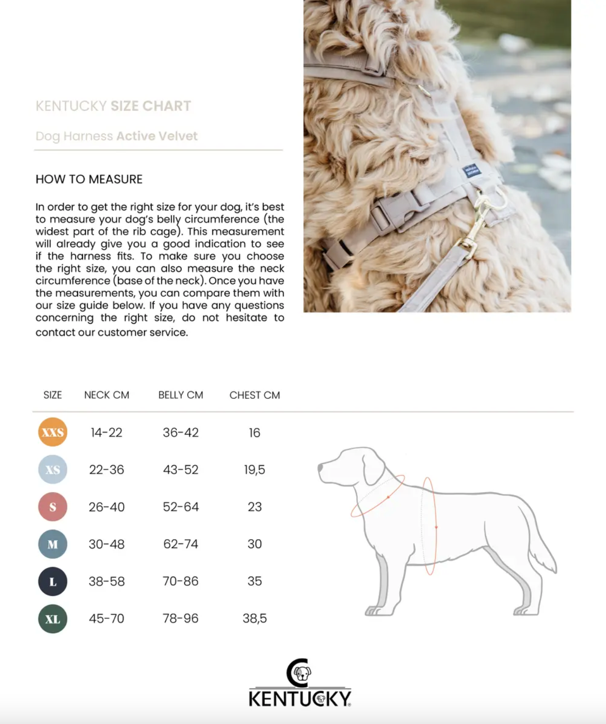 Harnais pour chien ajustable velvet chien actif - KENTUCKY DOGWEAR