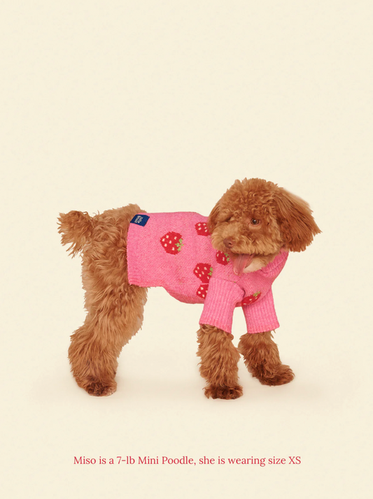 Pull The Strawberry Sweater