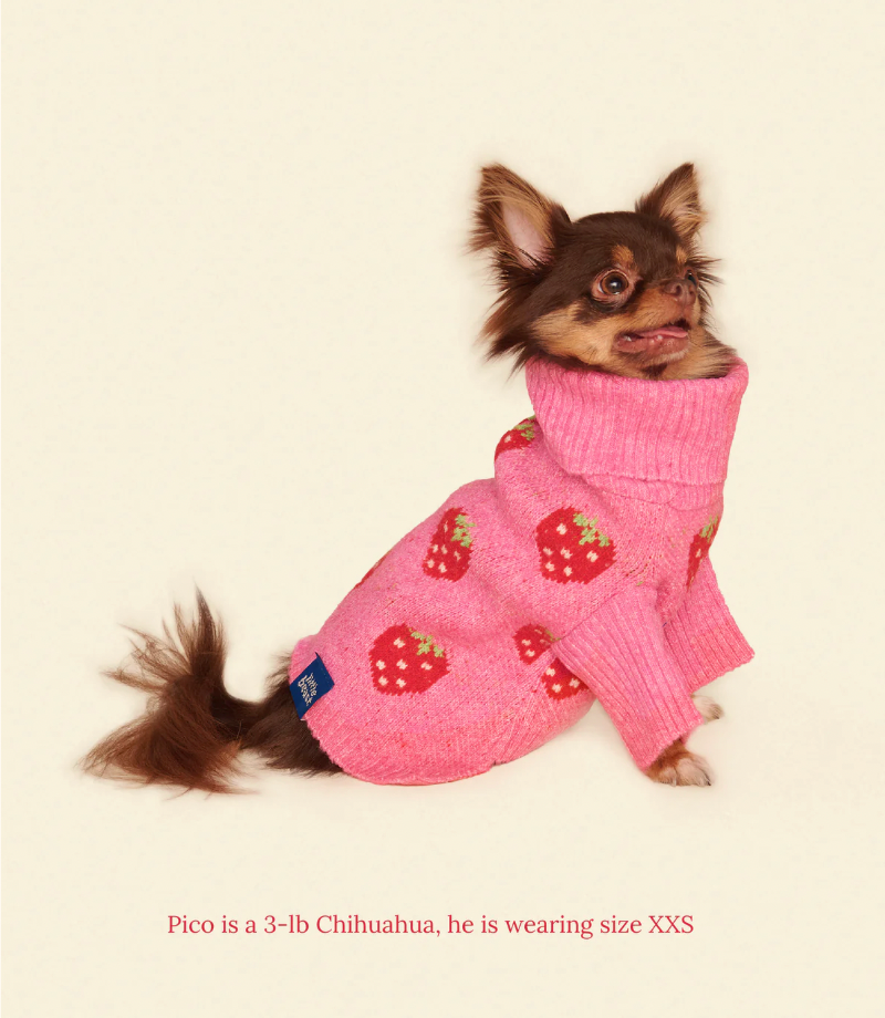 Pull The Strawberry Sweater