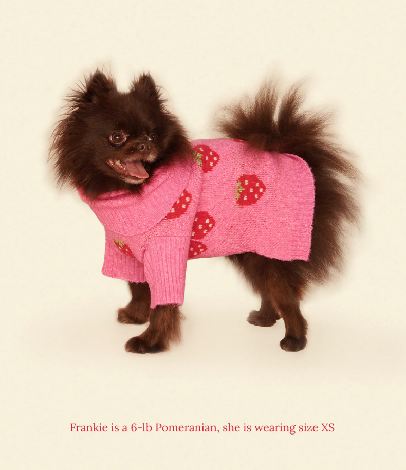 Pull The Strawberry Sweater