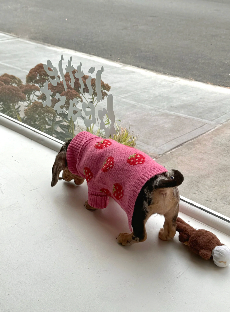 Pull The Strawberry Sweater