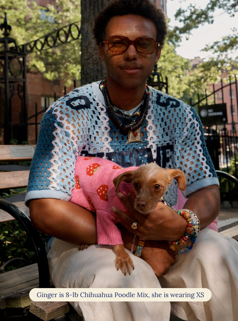 Pull The Strawberry Sweater