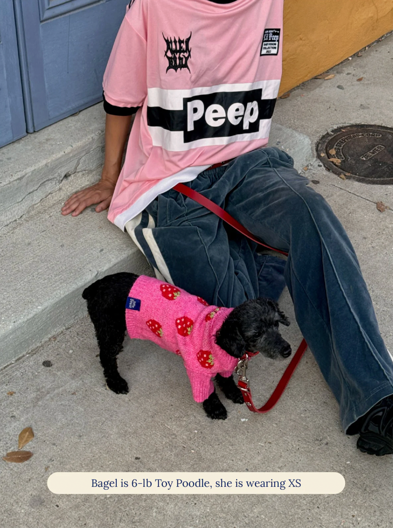 Pull The Strawberry Sweater