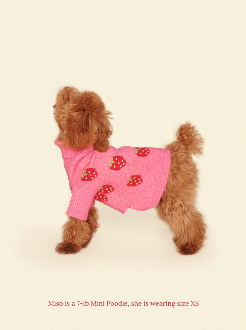 Pull The Strawberry Sweater