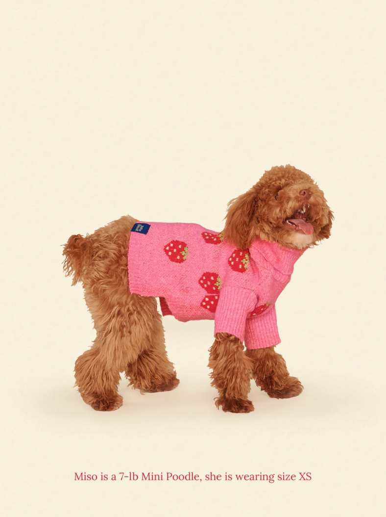 Pull The Strawberry Sweater