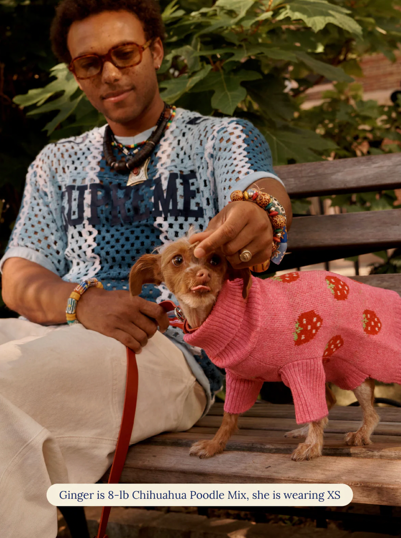 Pull The Strawberry Sweater