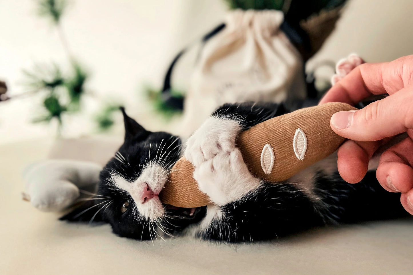 Jouet pour chat baguette