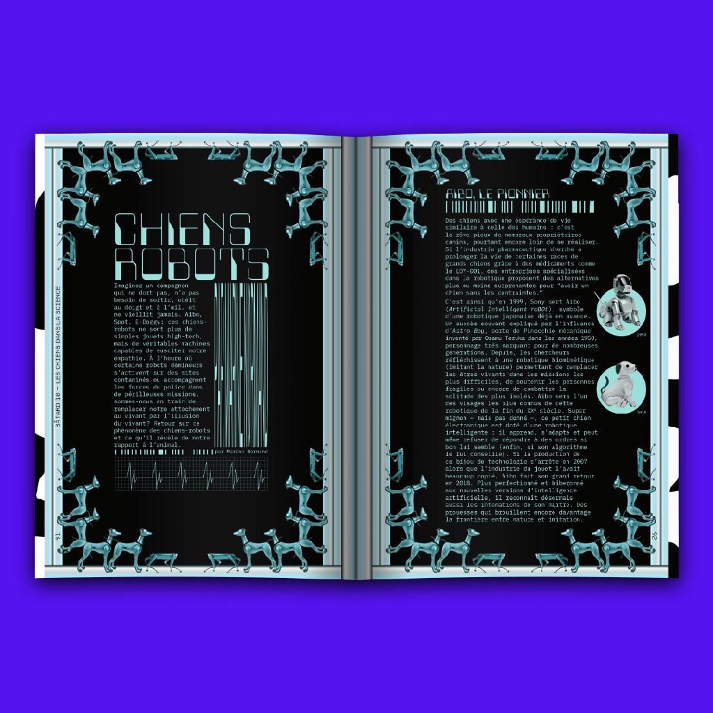 Magazine Bâtard #10