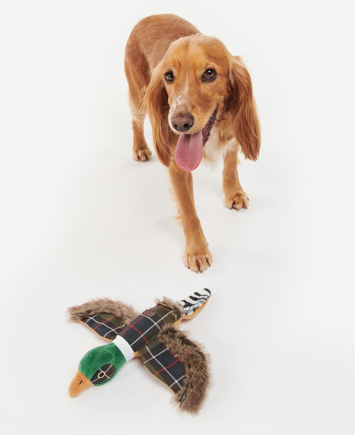 Jouet pour chien Barbour Pheasant