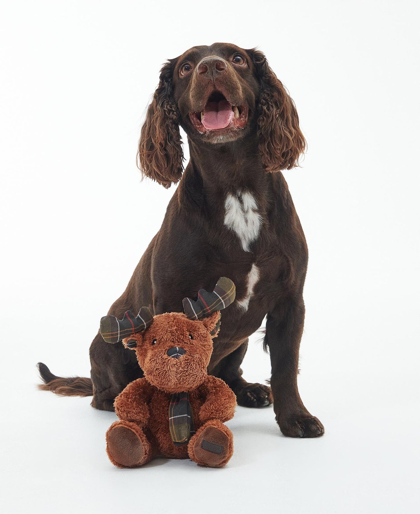 Jouet pour chien Barbour Reindeer