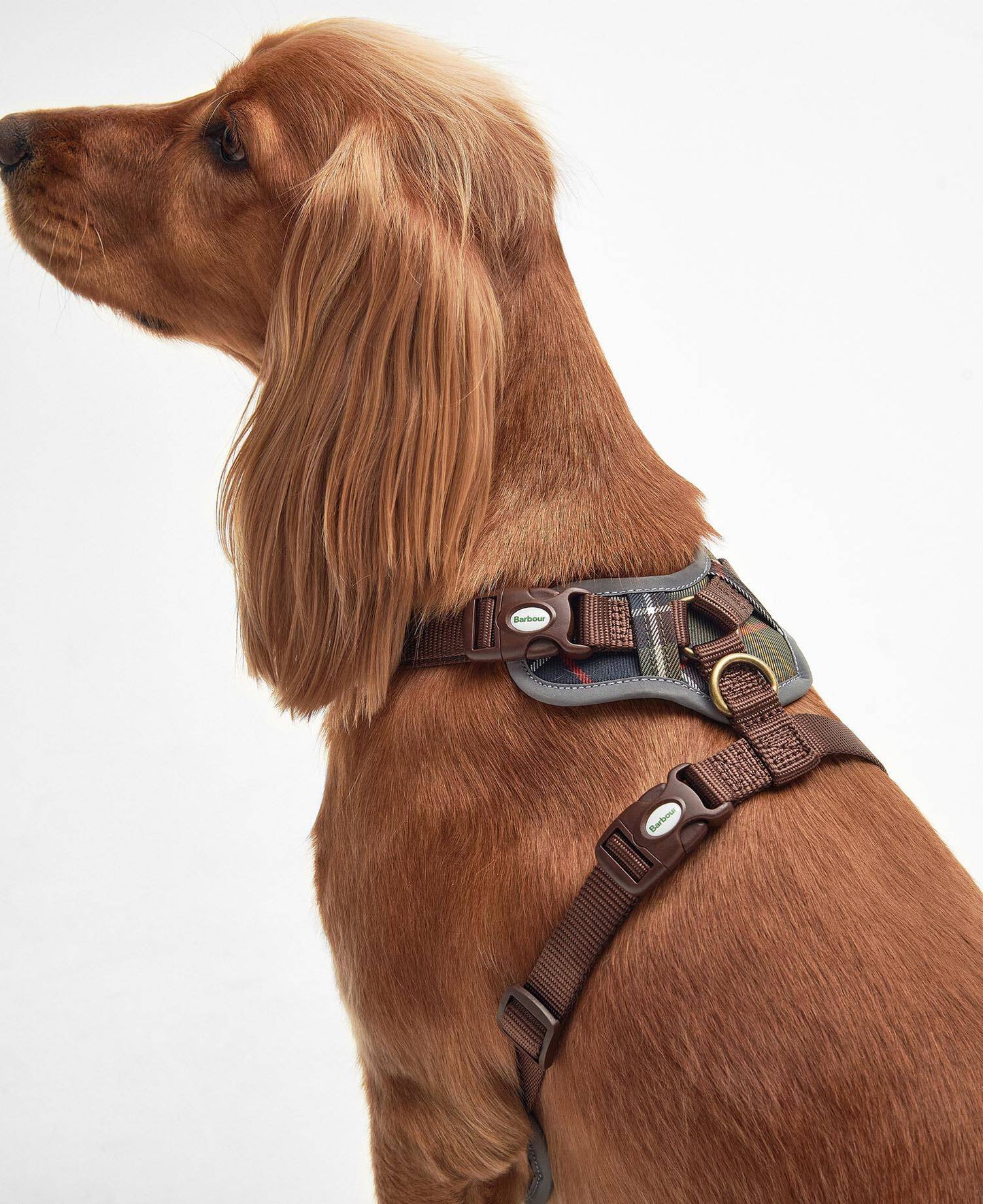 Harnais Barbour Tartan