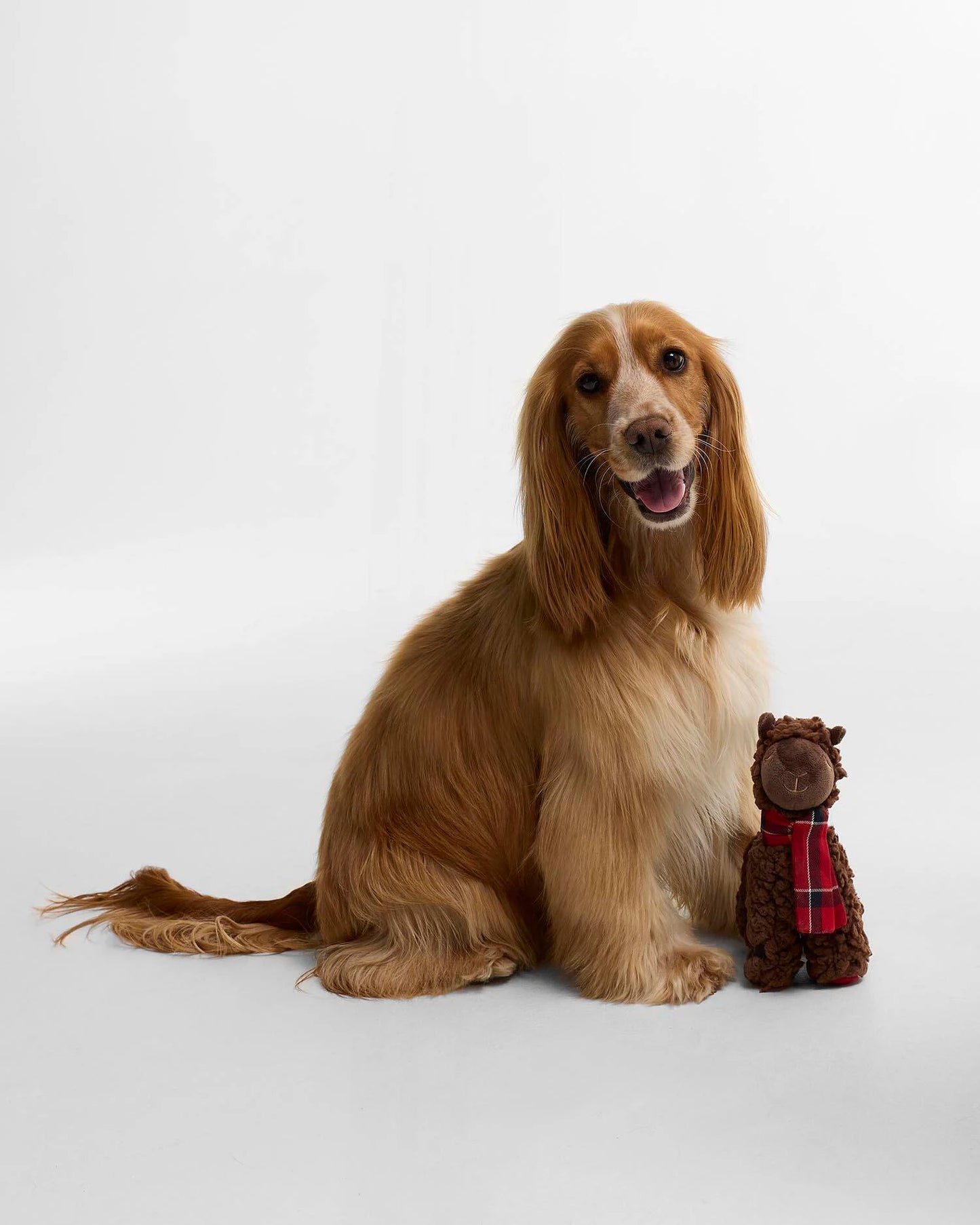 Jouet pour chien Barbour Lama