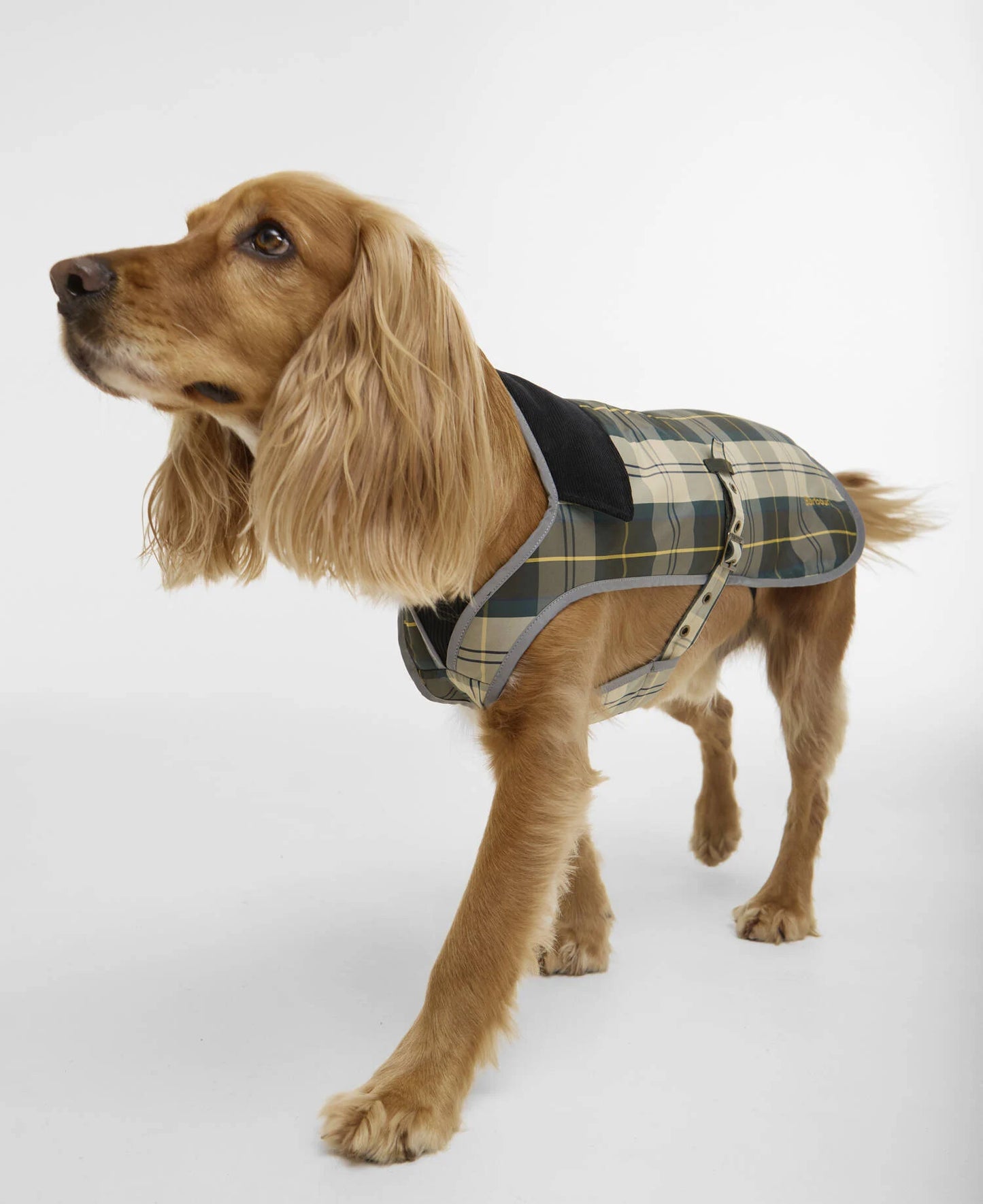 Manteau Waterproof Ancient Tartan Barbour