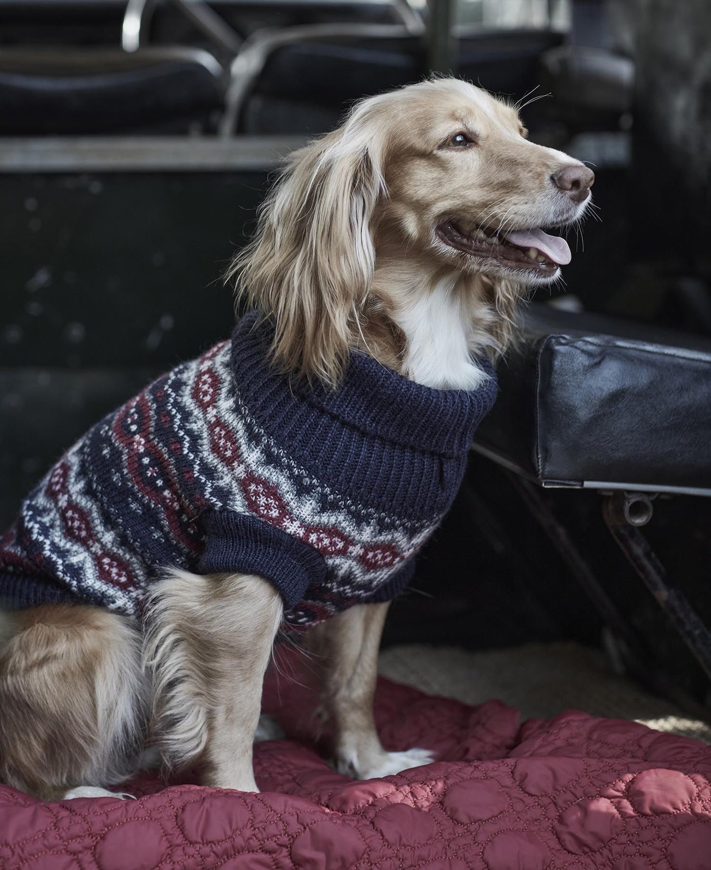 Barbour Pull Case Fair Isle Dog Blue Granite