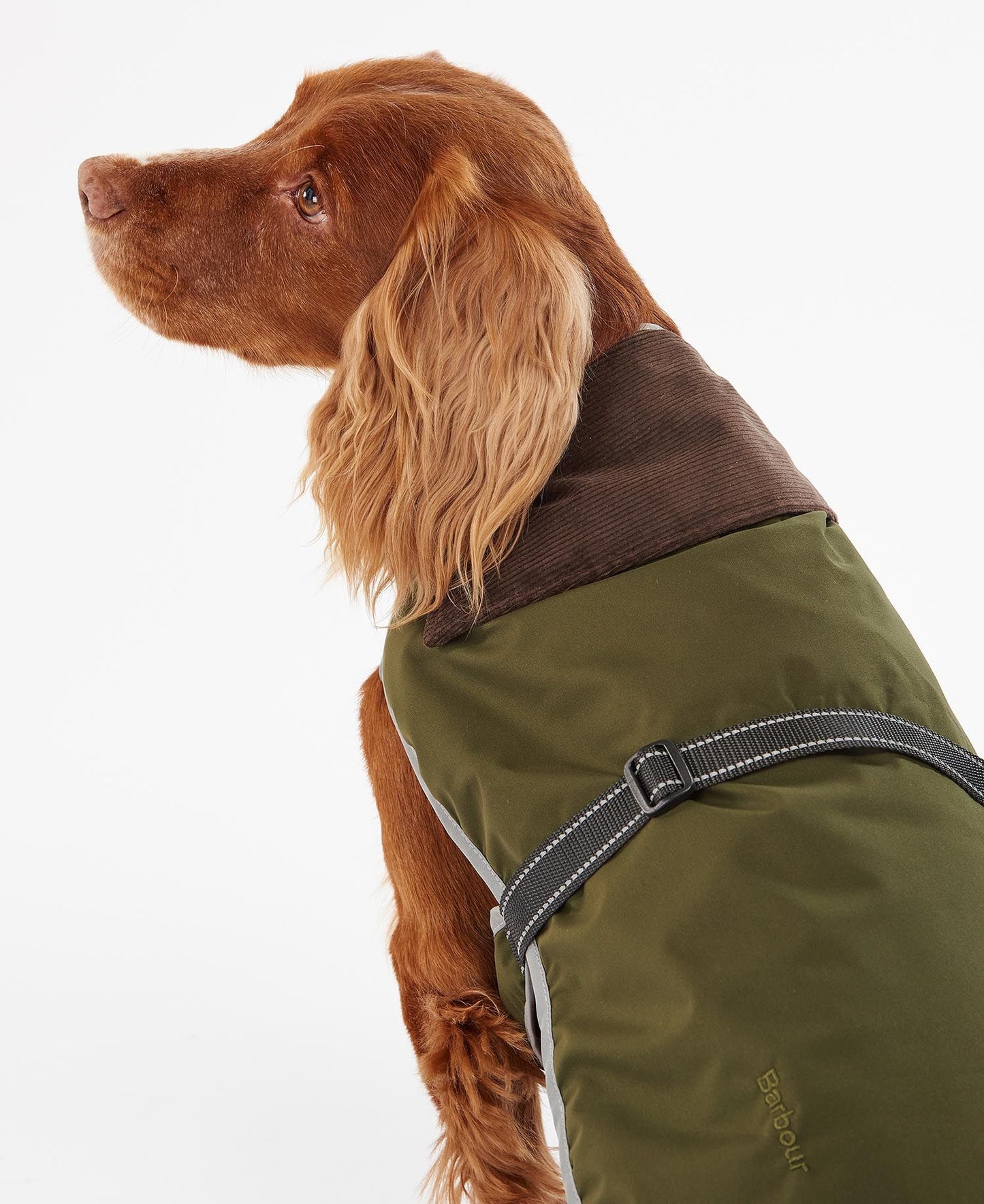 Barbour Manteau Waterproof Monmouth Olive