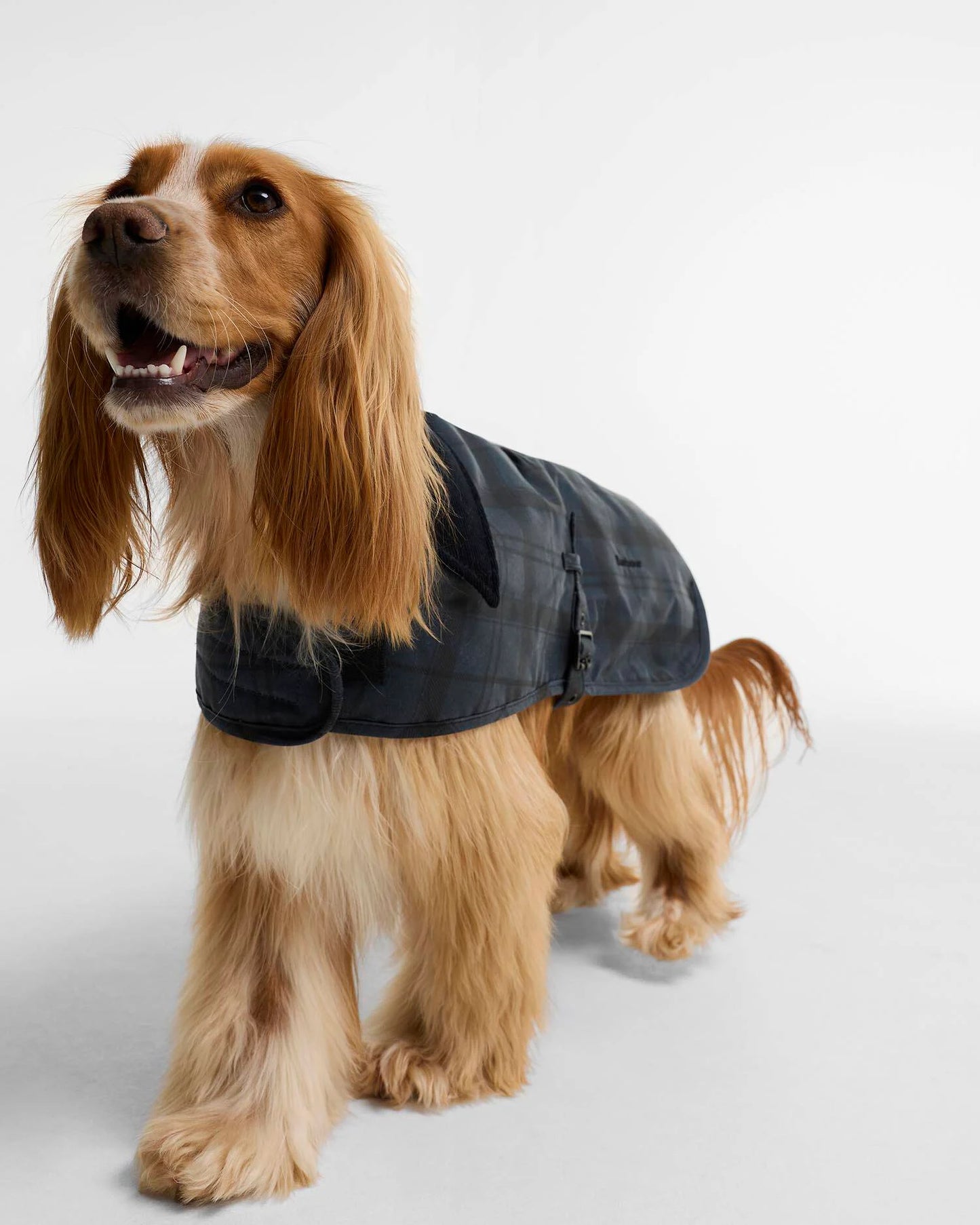 Manteau Wax Ambleside Barbour