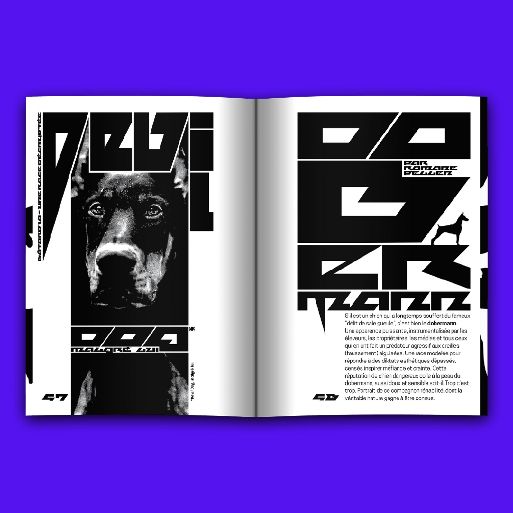 Magazine Bâtard #10