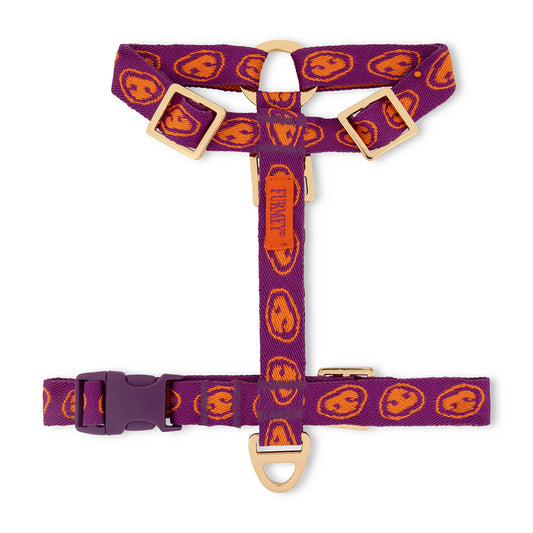 Harnais Y Orange/Violet