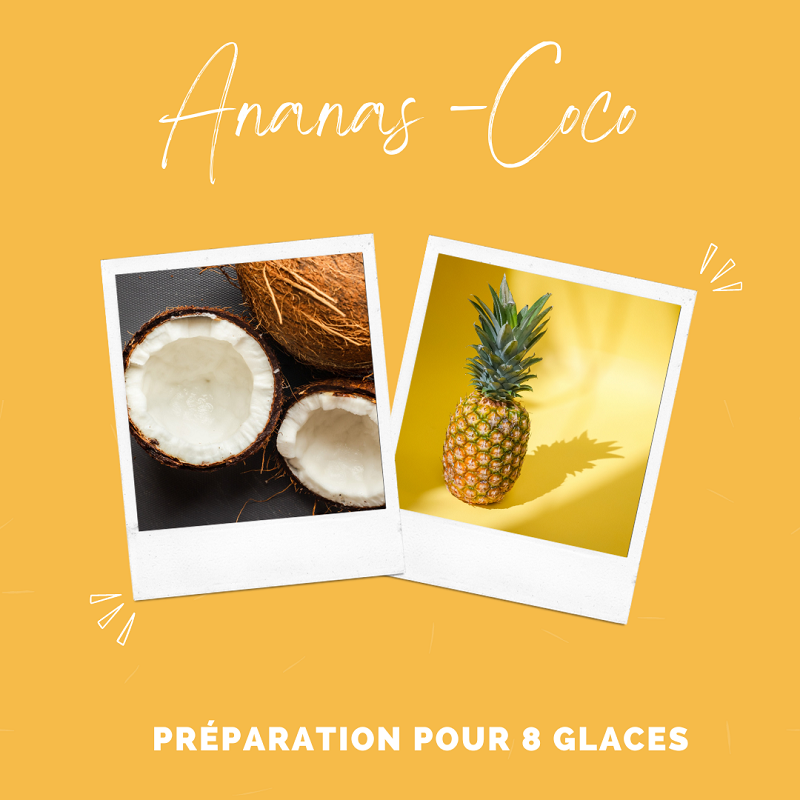 Kit pour glaces ananas coco