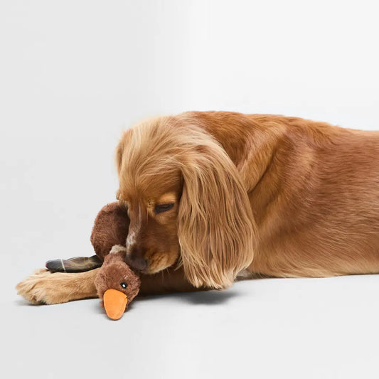 Jouet pour chien Barbour Flying Duck