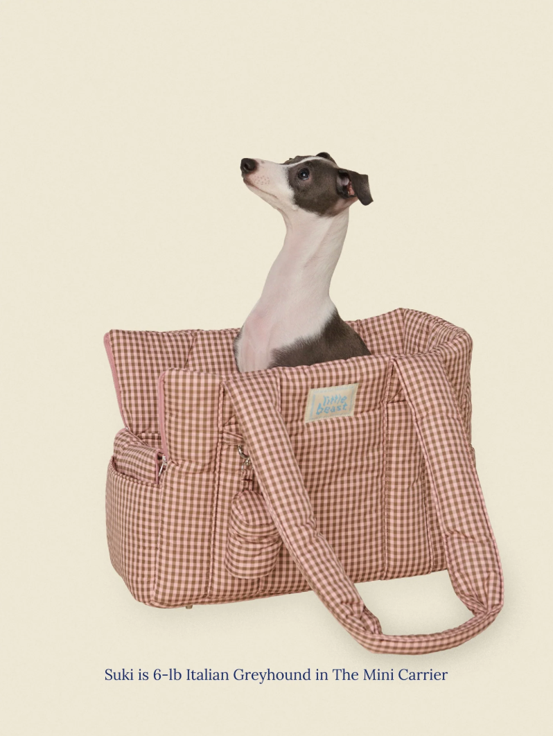Sac de transport pour chiens