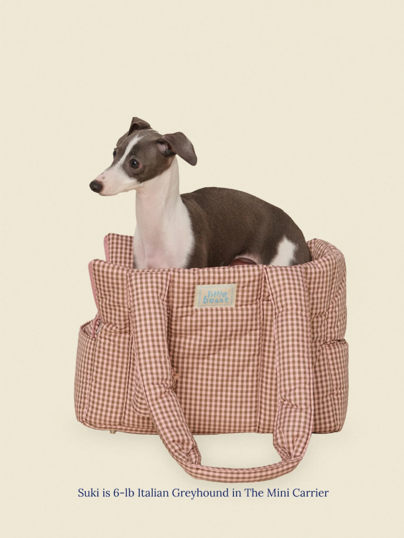 Sac de transport pour chiens