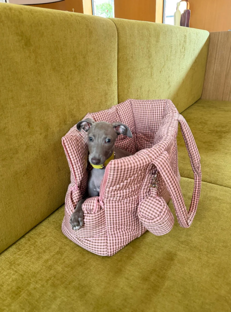 Sac de transport pour chiens