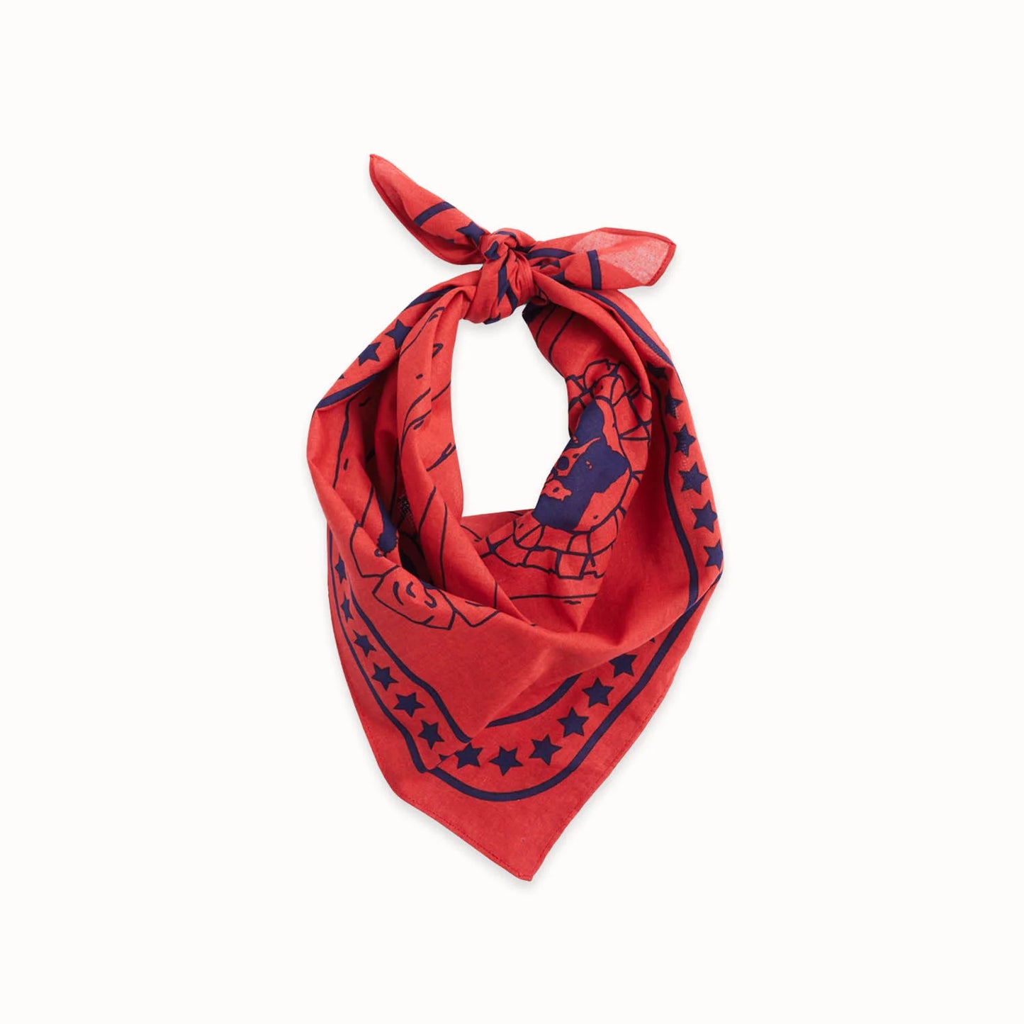 Bandana Red HAY