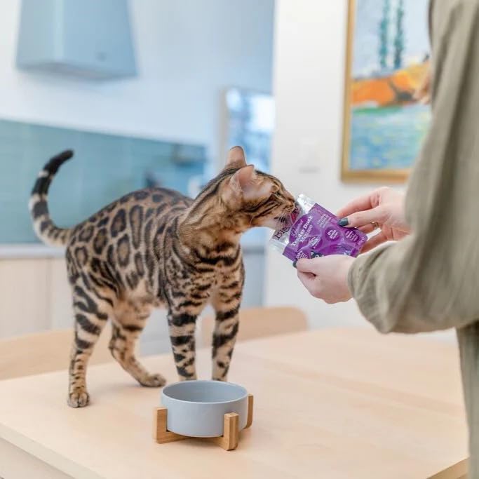 Mousse au canard pour chat