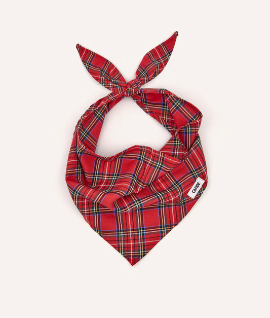 Bandana Tartan Royal Stewart