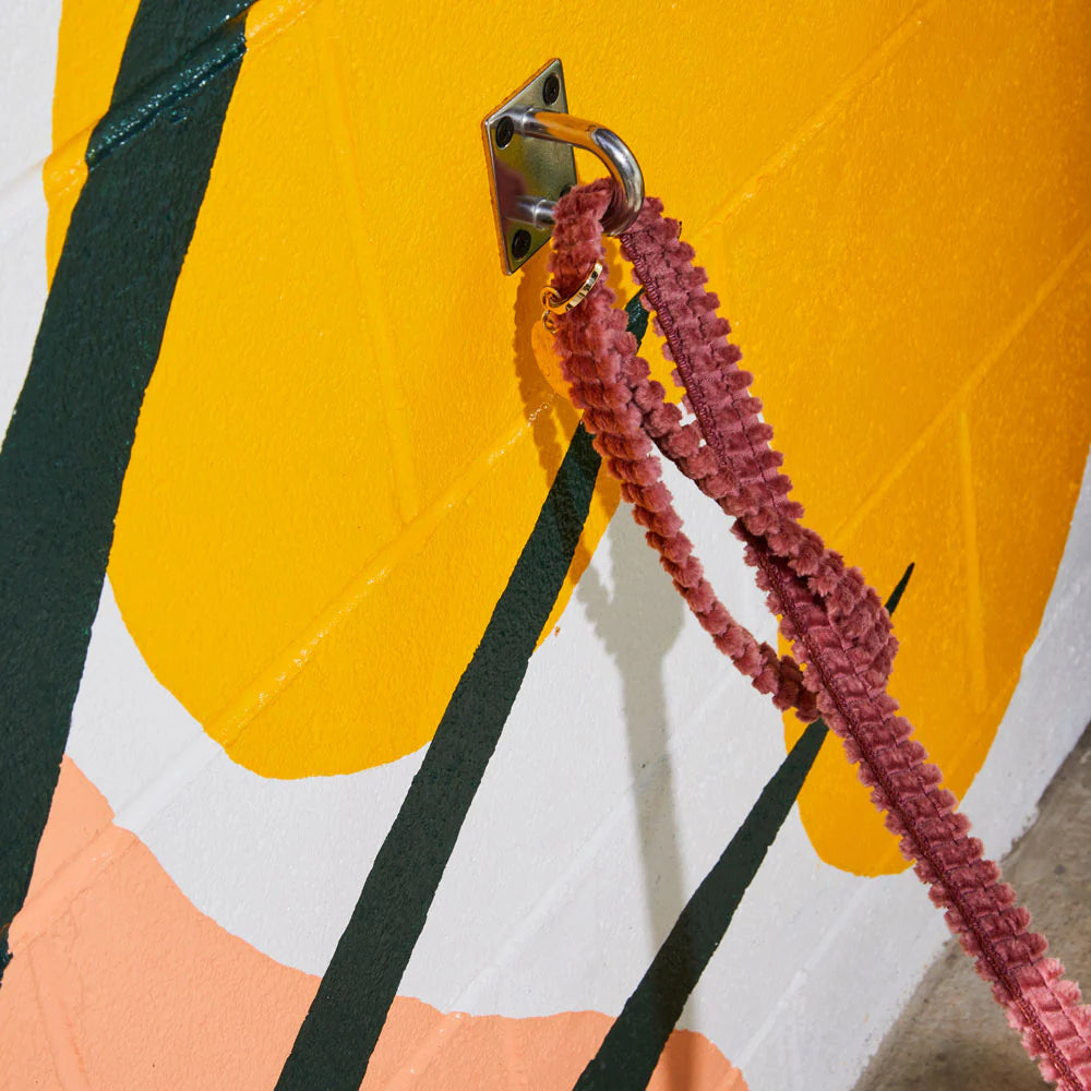 Laisse Jumbo Cord