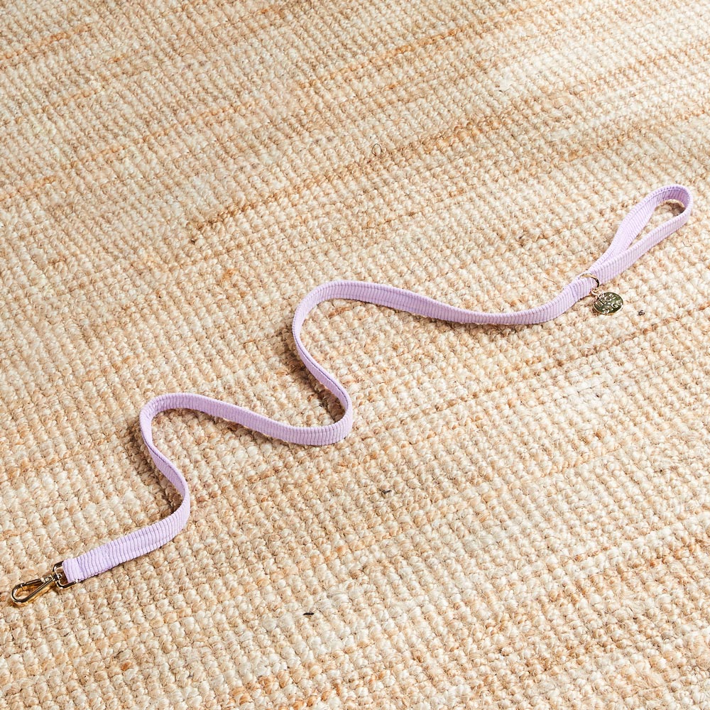Laisse Cord