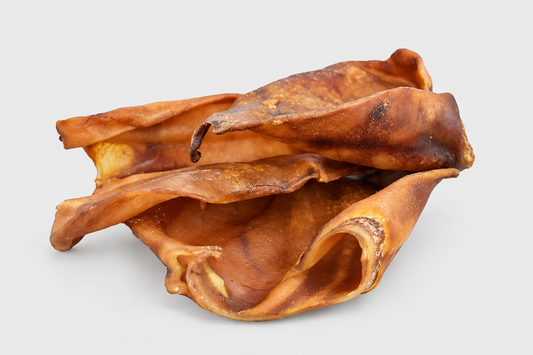 Lot de 10 oreilles de porc XL