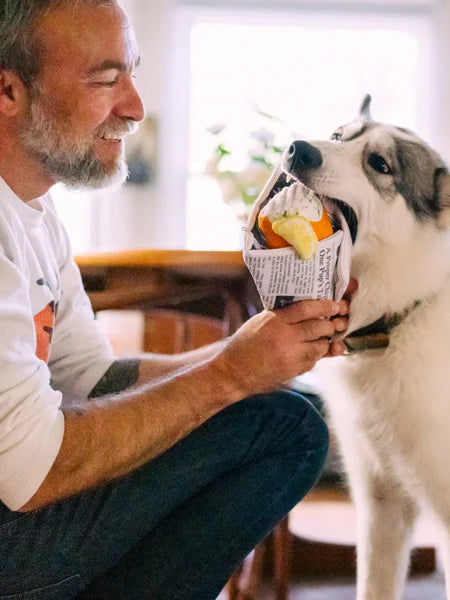 Jouet de fouille Fish and Chips Chippy Chews