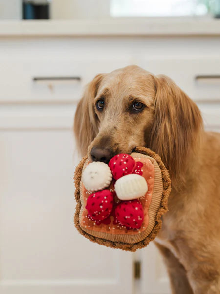 Peluche French Toast