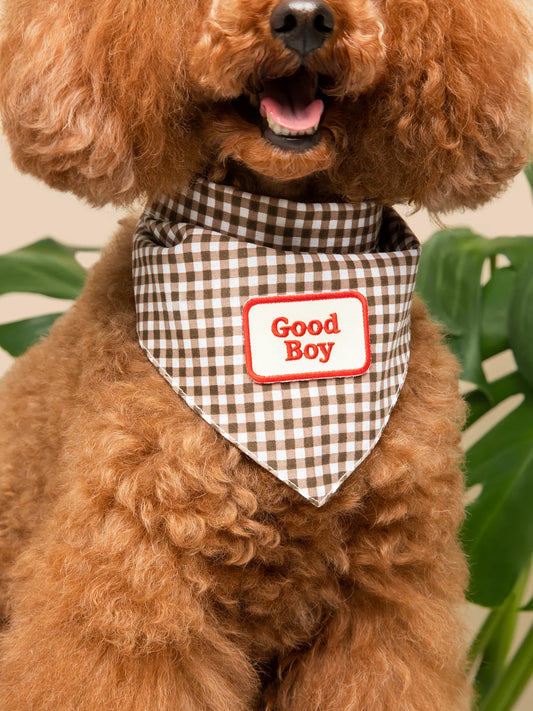 Badge "Good Boy"