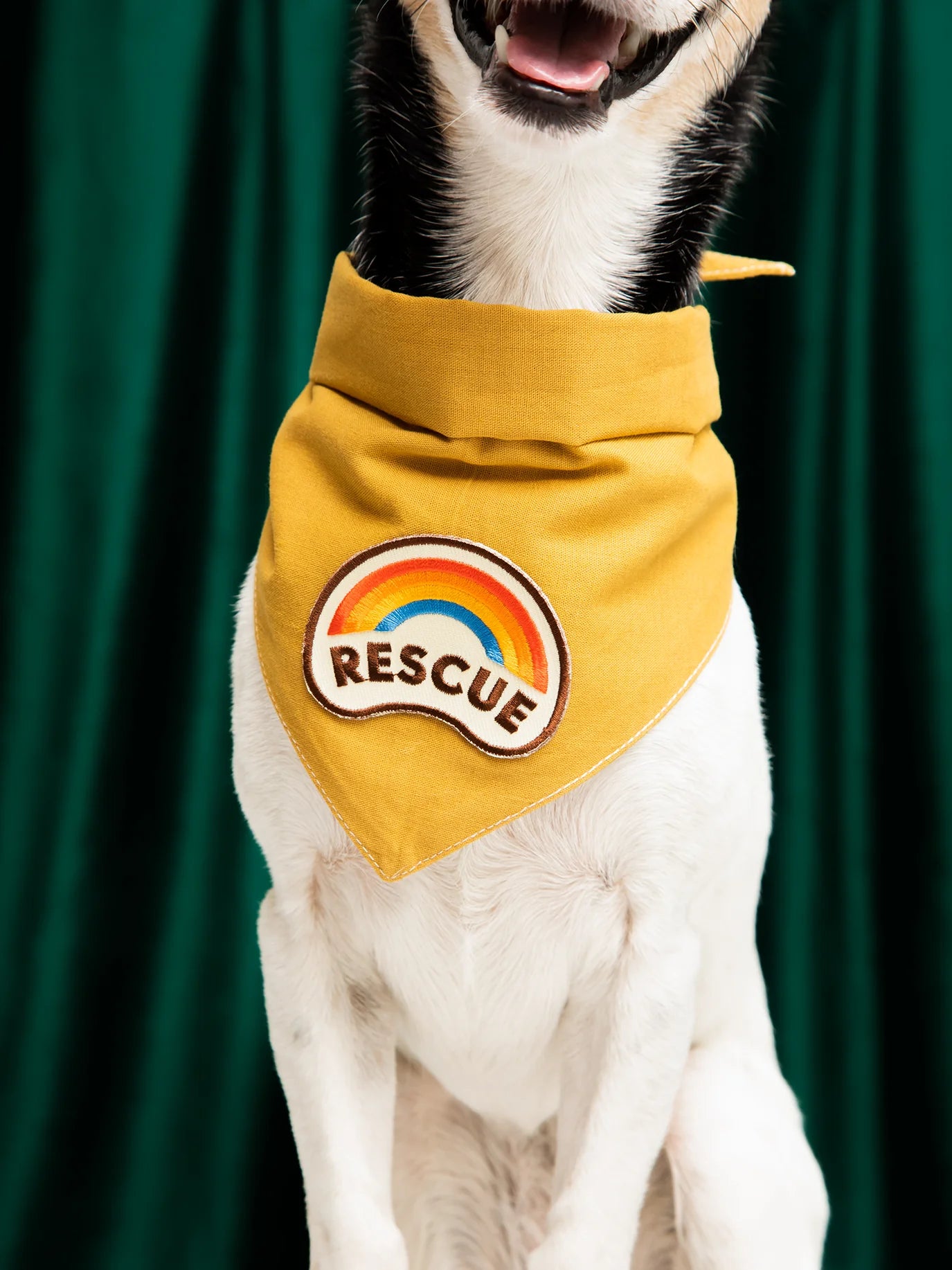Badge "Rescue"