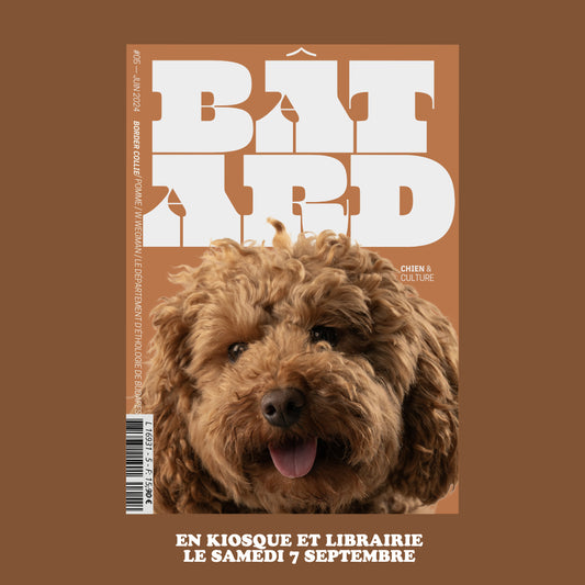 Magazine Bâtard #6