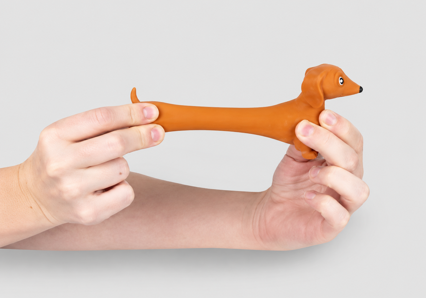 Jouet teckel anti-stress pour humains