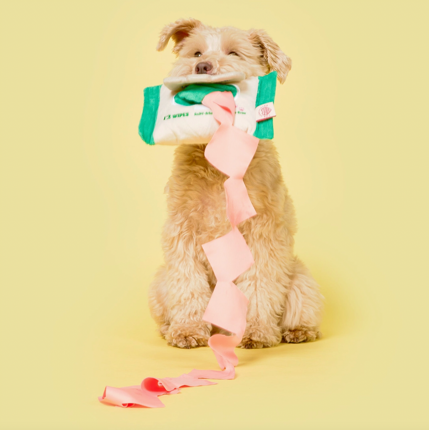 Jouet de fouille Nosework wipes