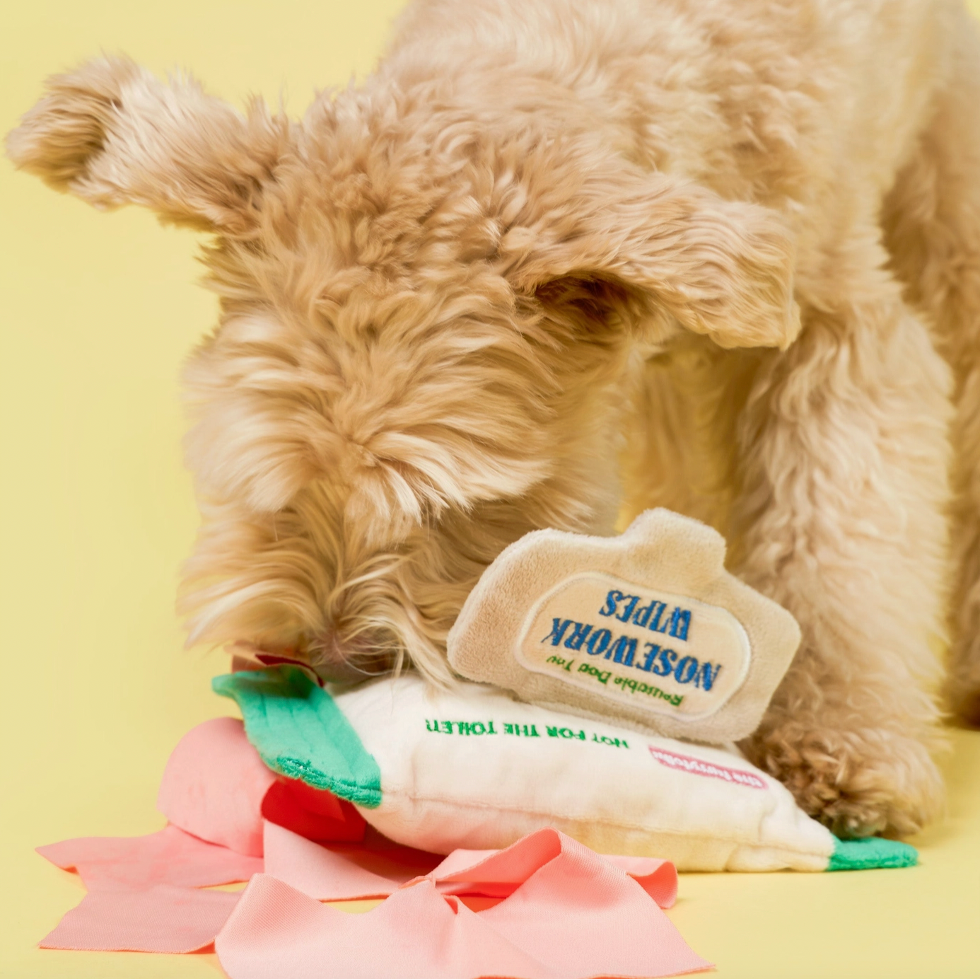 Jouet de fouille Nosework wipes