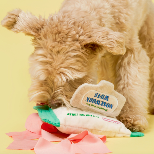 Jouet de fouille Nosework wipes
