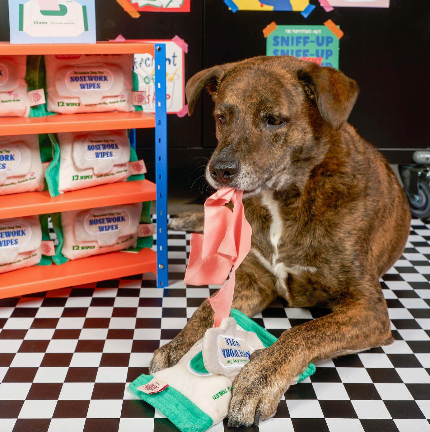 Jouet de fouille Nosework wipes