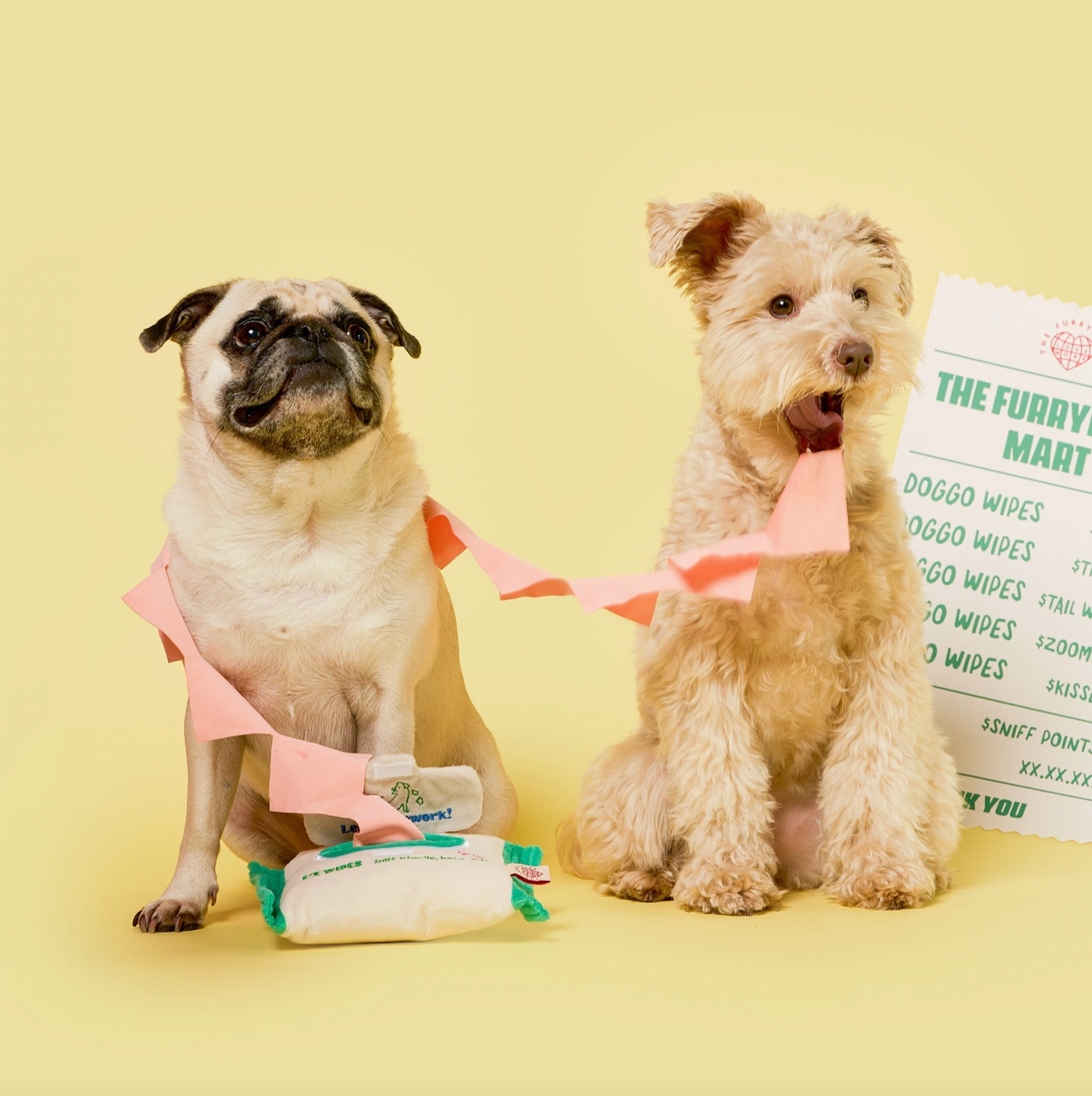 Jouet de fouille Nosework wipes