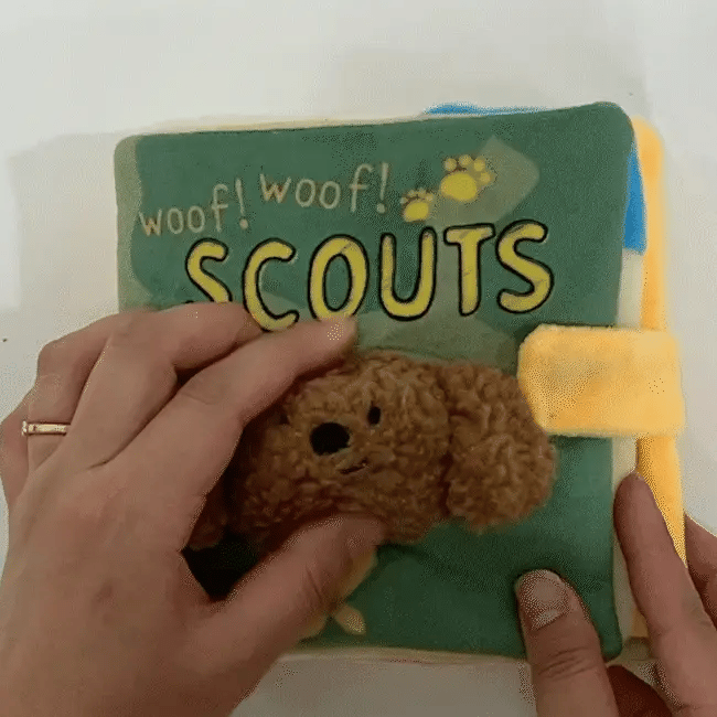Livre de fouille Scouts